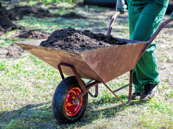 wheelbarrow